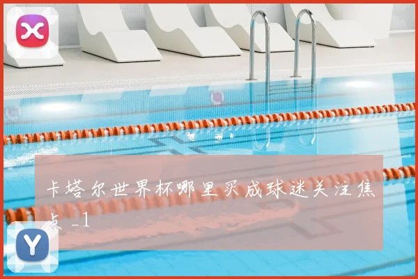 卡塔尔世界杯哪里买成球迷关注焦点 _1