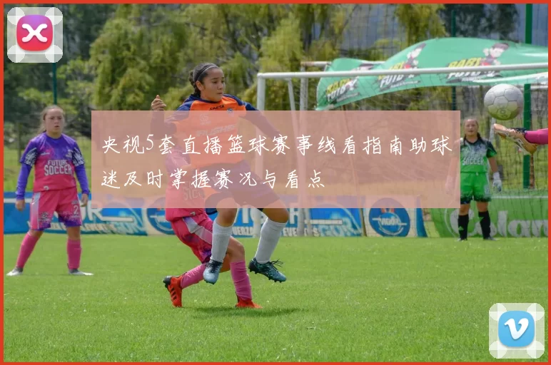 央视5套直播篮球赛事线看指南助球迷及时掌握赛况与看点