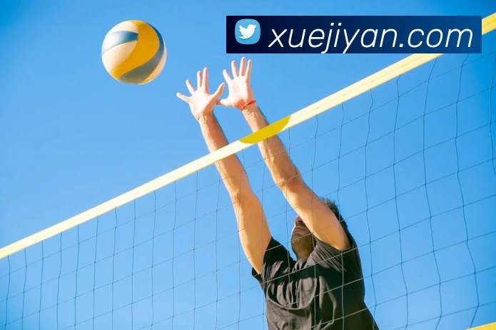 世界杯官方网络平台平台生态图